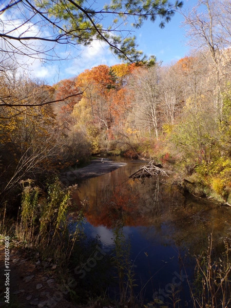 Obraz Fall landscape with colorful trees and river