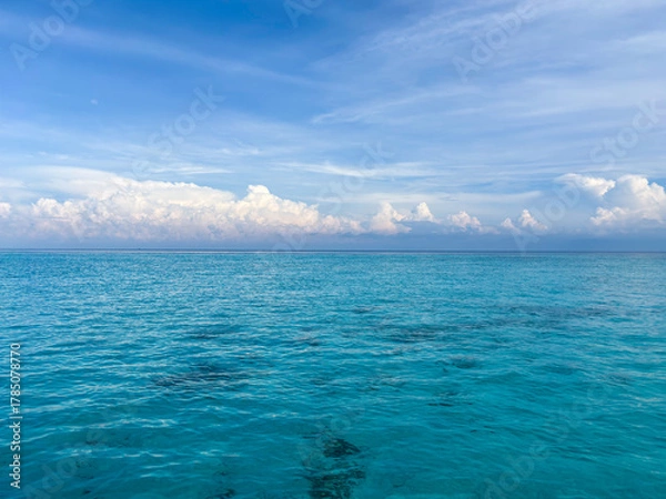Obraz Dreamy turquoise ocean water glistens under a serene blue sky filled with fluffy clouds