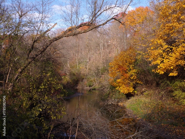 Obraz Fall landscape with colorful trees and river