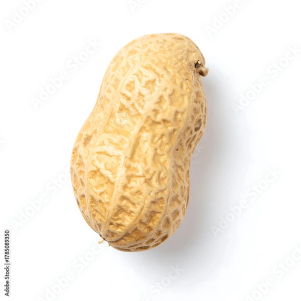 Obraz Clean Overhead Studio Shot of a Single Raw Peanut Pod on White
