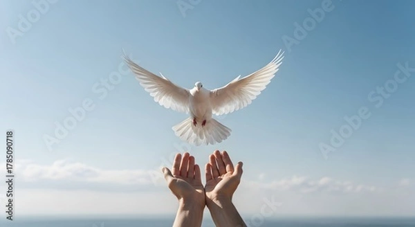 Obraz Dove flying above hands symbolizing peace and liberty