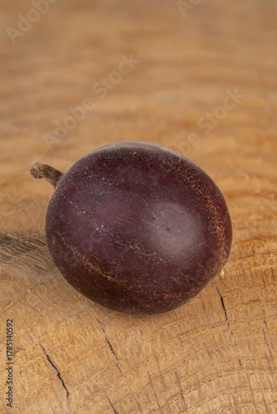 Obraz ripe gooseberry