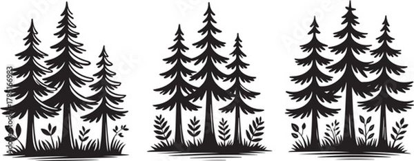 Fototapeta Monochrome Conifer Tree Groups in Graphic Woodcut Style
