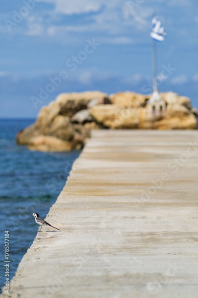 Fototapeta Small bird perched on coastal rocks with Greek flag and sea view