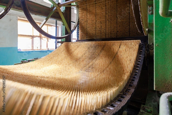 Fototapeta Thousands of matches are in a dipping machine.