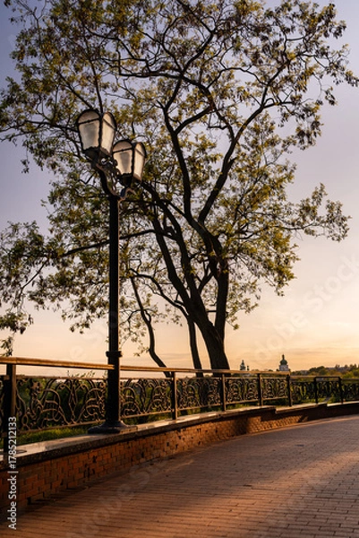 Obraz Evening City Park at Sunset