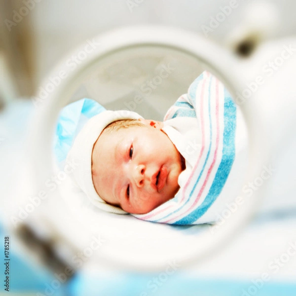 Obraz newborn