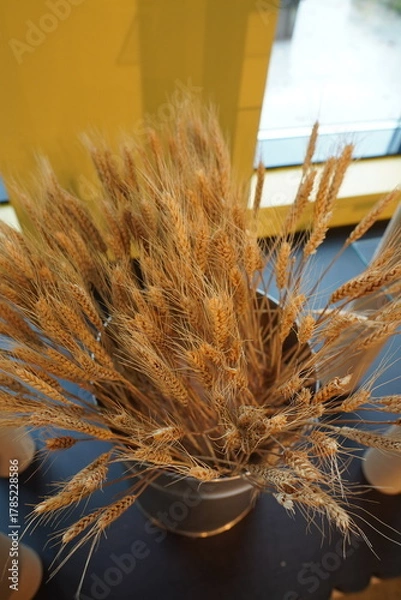 Fototapeta Golden wheat stalks arranged in a silver vase against a bright window backdrop