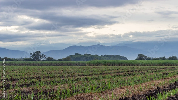 Fototapeta Wide view of a fertile mountain valley with lush fields, scattered farms, and rolling hills under soft daylight. Ideal for rural lifestyle, agriculture, and landscape themes.