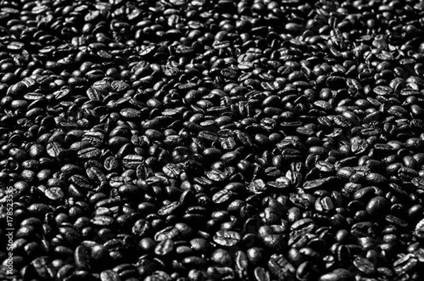 Obraz Roasted coffee beans are black and ready to be ground and brewed.