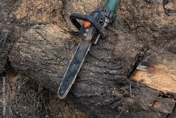 Obraz Electric chainsaw lying on logs