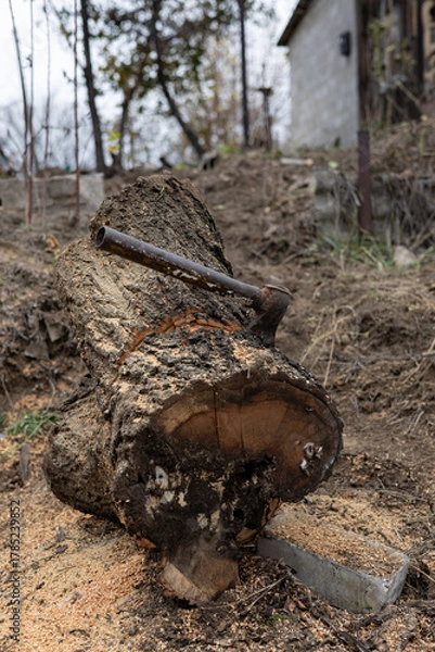 Obraz Metal axe embedded in large log