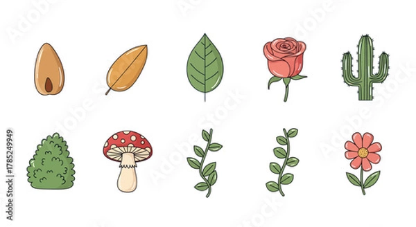 Obraz Assortment of botanical illustrations featuring leaves flowers and plant life