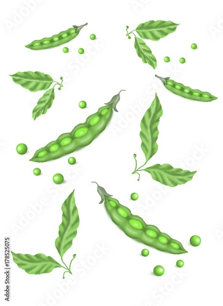 Obraz ripe vegetables. Raster illustration.