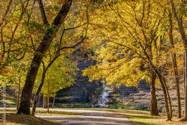 Obraz Sunny view of the beautiful autumn landscape in Dogwood Canyon Nature Park