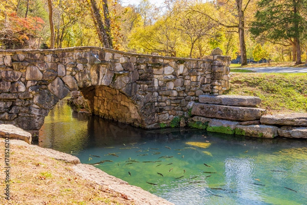 Obraz Sunny view of the beautiful autumn landscape in Dogwood Canyon Nature Park
