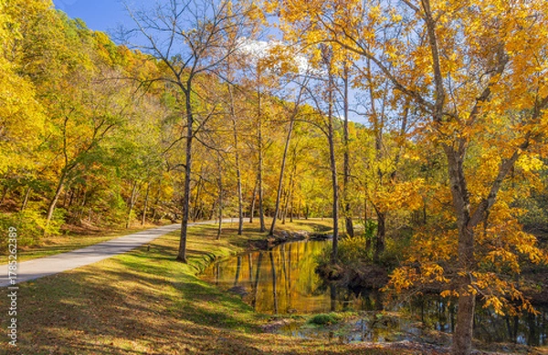 Obraz Sunny view of the beautiful autumn landscape in Dogwood Canyon Nature Park