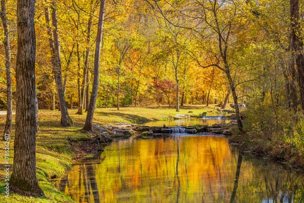 Obraz Sunny view of the beautiful autumn landscape in Dogwood Canyon Nature Park