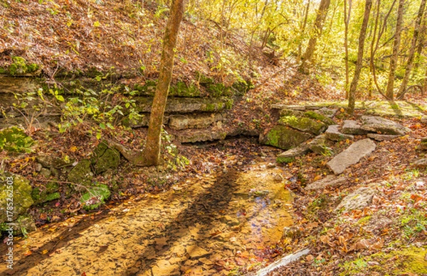 Fototapeta Sunny view of the beautiful autumn landscape in Dogwood Canyon Nature Park