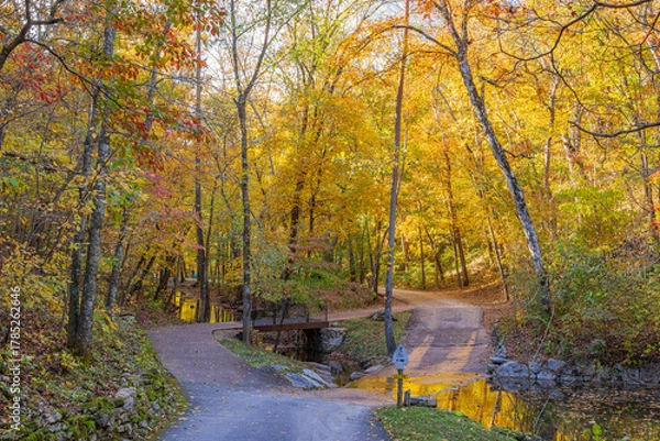 Obraz Sunny view of the beautiful autumn landscape in Dogwood Canyon Nature Park