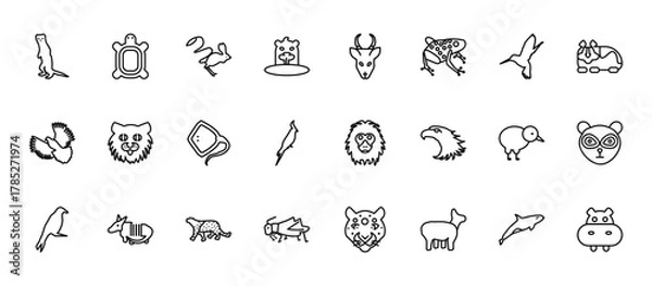 Obraz 24 set of outline web animals icons such as tortoise, gazelle, pallas cat, kiwi bird, grasshopper vector thin icons for report, presentation, diagram, web design, mobile app