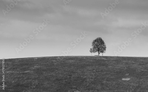 Obraz Tree and cross black and white