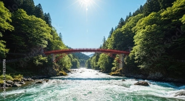 Obraz Lush valley with red bridge spanning a rushing river