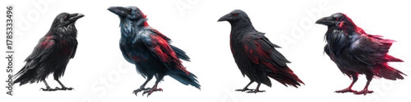 Fototapeta Mystical ravens with glowing red accents, perfect for fantasy illustrations, gothic designs, and Halloween-themed projects, adding a touch of dark magic and intrigue