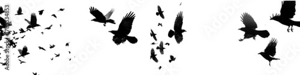 Fototapeta Eerie flock of crows soaring in formation, evoking mystery and Halloween vibes, perfect for spooky designs or dramatic nature scenes and bird migration themes.