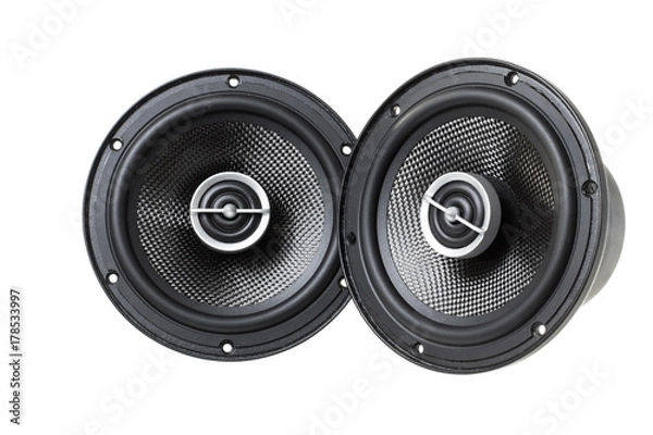Obraz car Acoustic speaker isolated on white background