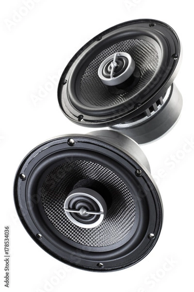 Obraz car Acoustic speaker isolated on white background