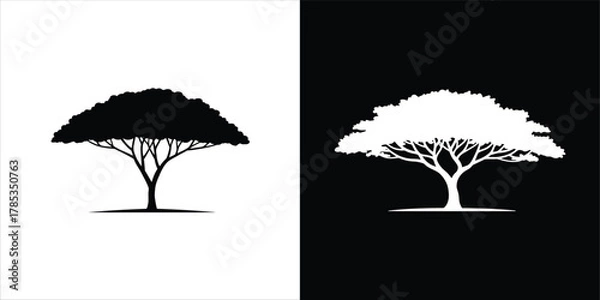 Obraz Elegant Acacia Tree Illustration Black and White Silhouette for Nature-Inspired Designs