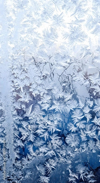 Fototapeta Detailed frosty patterns on a glass window, an abstract winter art background