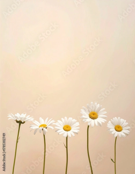 Obraz Minimalist Arrangement of Five White Daisies with Yellow Centers on a Soft Beige Background