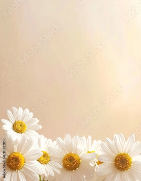 Obraz Bright White Daisies with Yellow Centers Against a Soft Pastel Background in Warm Natural Light