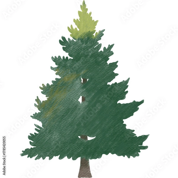 Fototapeta A beautiful  illustration of a green pine tree with soft textured details. Perfect for Christmas designs, winter cards, holiday invitations.