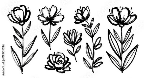 Fototapeta Sketchy outline botanical elements collection, perfect for design.