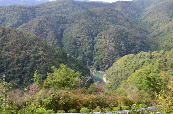 Obraz Nature　自然