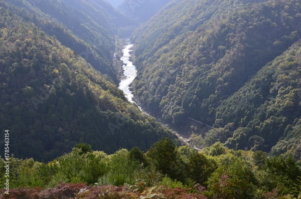 Obraz Nature　自然