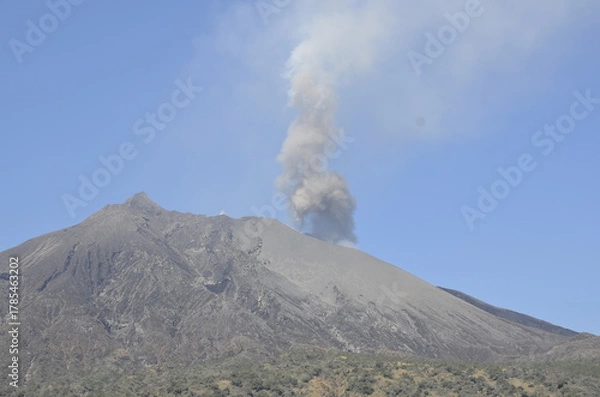 Obraz Nature　自然