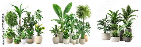 Fototapeta A collection of lush potted plants in various shapes and sizes, bringing the freshness of the outdoors to an interior space. The vibrant green foliage adds a touch of nature and serenity.