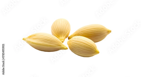 Fototapeta Close up of four cardamom pods on transparent background