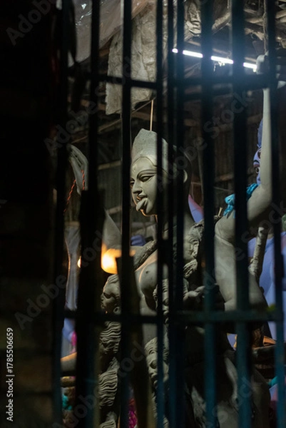 Obraz Maa kali in the Shadows