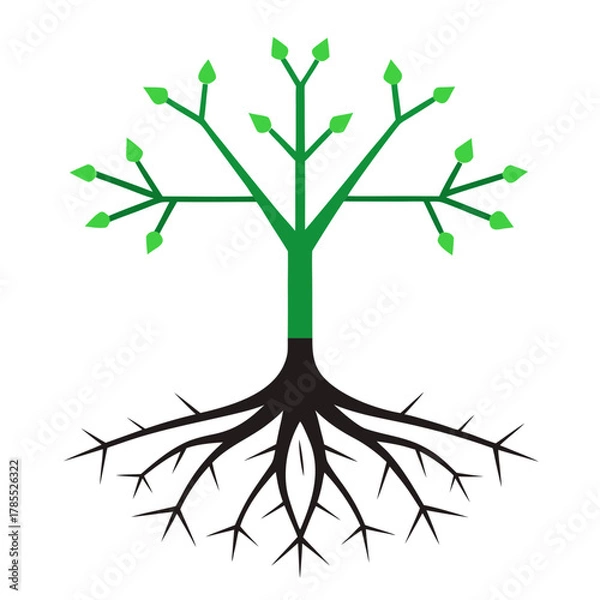 Fototapeta tree with roots