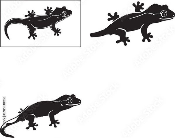 Obraz Three Crested Gecko Silhouettes on White Background