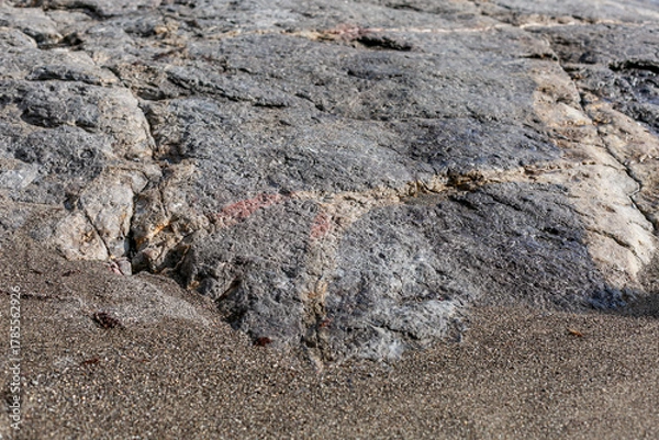 Obraz Rocky beach surface. Natural background. Space for text.