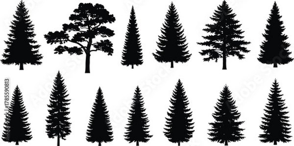 Fototapeta Tree silhouettes vector set, pine, fir, oak, forest elements, black outline, coniferous shapes, nature icons, landscape design, clipart