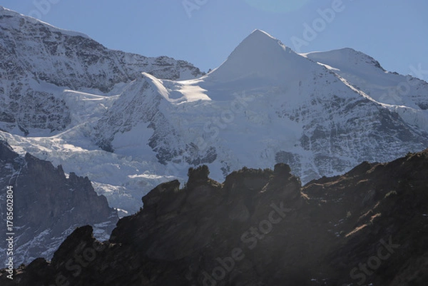 Fototapeta Markantes Silberhorn (3690) unterhalb der Jungfrau im Fokus