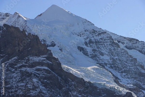 Fototapeta Silberhorn (3690) an der Jungfrau im Fokus;  Blick vom Fallbodensee