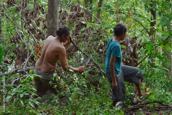Fototapeta A shirtless farmer cleans dry branches with a machete in the field while his wife, wearing a blue shirt, carefully walks through wild plants and trees on the rugged, sloping farm.